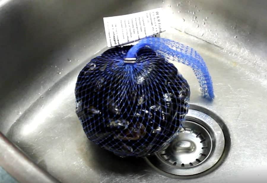 a mesh bag of recently purchased mussels in a sink