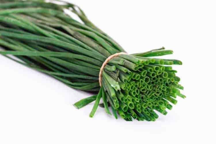 a bunch of chives on a white background