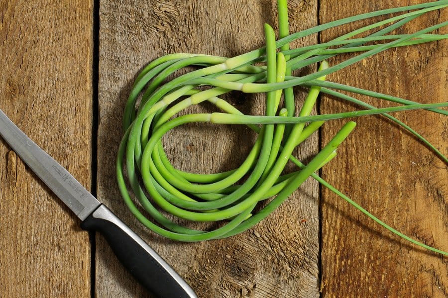 A bunch of freshly harvested garlic scapes on a wooden table top