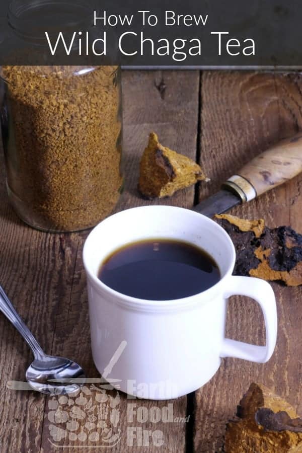 a mug of wild brewed chaga tea on a wooden table surrounded by raw chaga and a spoon
