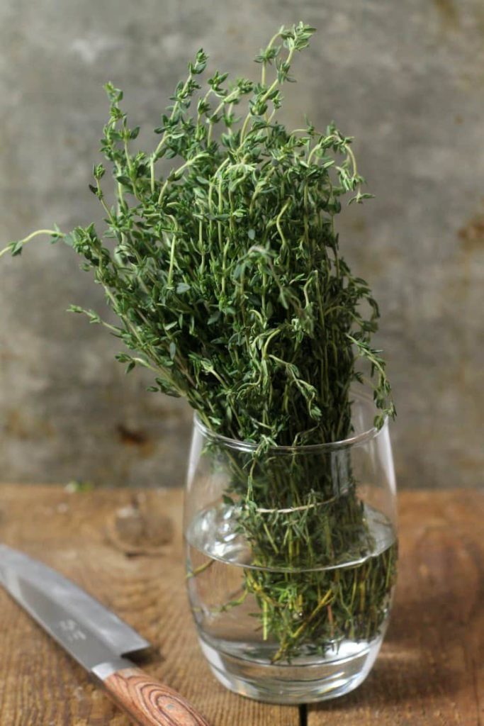 a bunch of thyme being kept in a small glass of water to preserve its freshness.