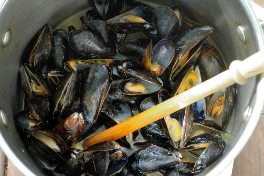 beer steamed mussels that are just starting to open, which means they are almost done cooking!