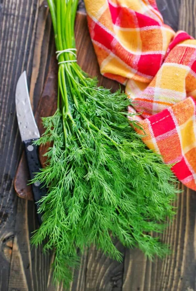 vertical image of fresh dill on a wooden background 